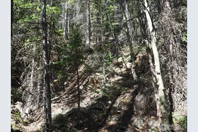 0 Gamble Gulch, Black Hawk, CO 80422 - Photo 6
