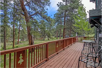 1141 Wallace Ln, Estes Park, CO 80517 - Photo 32