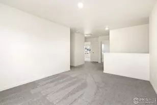 3713 Catmint St, Wellington, CO 80549 - Photo 18