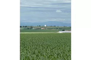 37416 Co Rd 45, Eaton, CO 80615 - Photo 22