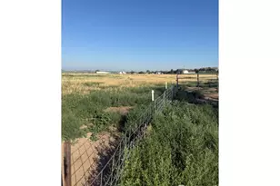 37416 Co Rd 45, Eaton, CO 80615 - Photo 30