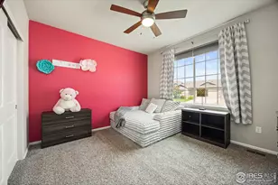 381 Mount Bross Ave, Severance, CO 80550 - Photo 20