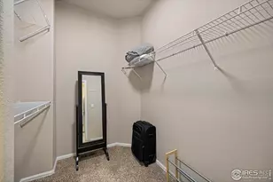 381 Mount Bross Ave, Severance, CO 80550 - Photo 18