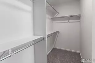 305 Flourish Ln, Fort Collins, CO 80524 - Photo 24