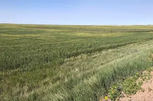 0 Cr 70, Briggsdale, CO 80611 - Photo 1