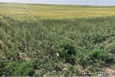 0 Cr 70, Briggsdale, CO 80611 - Photo 6