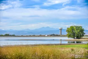 6928 Summerwind Ct, Timnath, CO 80547 - Photo 30