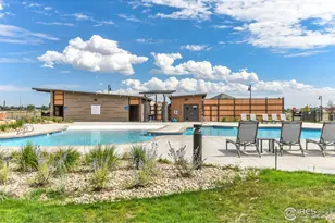 6928 Summerwind Ct, Timnath, CO 80547 - Photo 32