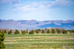 6928 Summerwind Ct, Timnath, CO 80547 - Photo 28