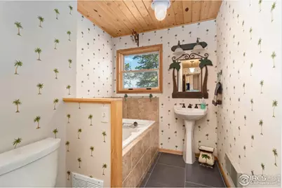 556 Bald Mountain Dr, Livermore, CO 80536 - Photo 20