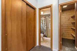 556 Bald Mountain Dr, Livermore, CO 80536 - Photo 26