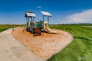 969 Cascade Falls St, Severance, CO 80550 - Photo 20