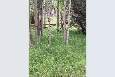 411 Tesuque Trl, Red Feather Lakes, CO 80545 - Photo 20