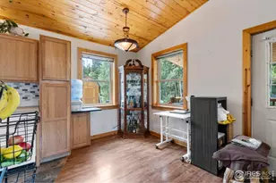 28 Nonami Ct, Red Feather Lakes, CO 80545 - Photo 12