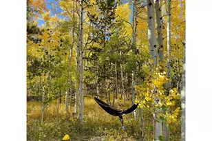 28 Nonami Ct, Red Feather Lakes, CO 80545 - Photo 36