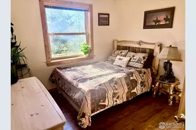 28 Nonami Ct, Red Feather Lakes, CO 80545 - Photo 20