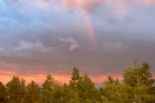 62 Spokane Ct, Red Feather Lakes, CO 80545 - Photo 38