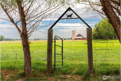 6789 Niwot Rd, Longmont, CO 80503 - Photo 6