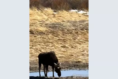 1565 Highway 66 ##46, Estes Park, CO 80517 - Photo 14