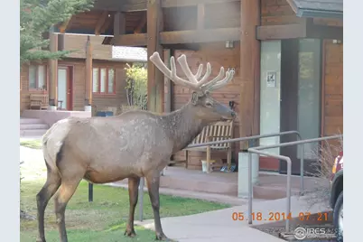 1565 Highway 66 ##46, Estes Park, CO 80517 - Photo 12