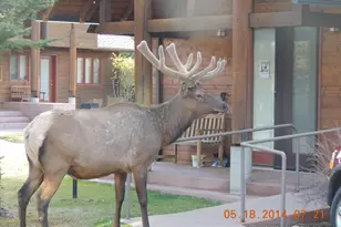 1565 Hwy 66 #, Estes Park, CO 80517 - Photo 12