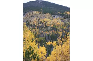 1565 Hwy 66 #, Estes Park, CO 80517 - Photo 20