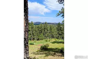 2778 Storm Mountain Dr, Drake, CO 80515 - Photo 28