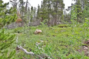 1683 Osage Trail, Red Feather Lakes, CO 80545 - Photo 1