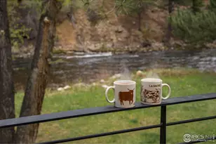 37797 W Hwy 14, Bellvue, CO 80512 - Photo 22