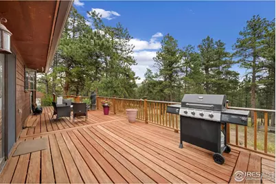 269 Cox Ct, Bellvue, CO 80512 - Photo 18