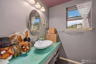 23 E Quandary Ct, Livermore, CO 80536 - Photo 4