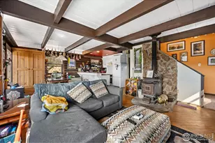 23 E Quandary Ct, Livermore, CO 80536 - Photo 6