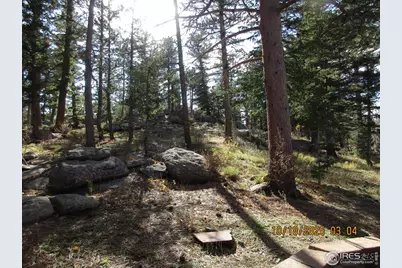 58 Aspen Ln, Red Feather Lakes, CO 80545 - Photo 28