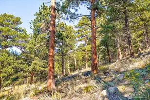 695 Cutter Ln, Boulder, CO 80302 - Photo 28