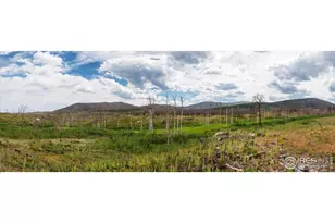 529 Quartz Rd, Bellvue, CO 80512 - Photo 1