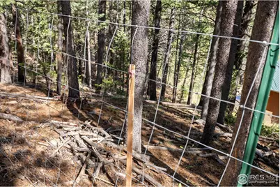 134 Hurricane Hill Dr, Nederland, CO 80466 - Photo 28