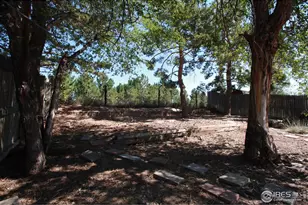 2908 W Olive St, Fort Collins, CO 80521 - Photo 16