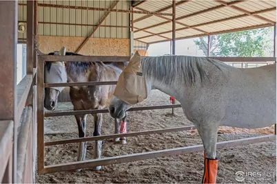 16490 County Road 15, Platteville, CO 80651 - Photo 6