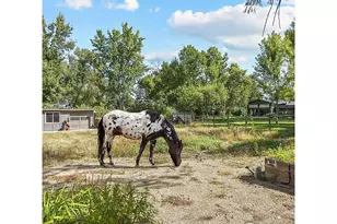 819 Gapter Rd, Boulder, CO 80303 - Photo 2