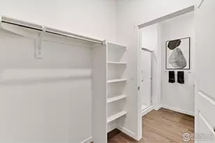 241 Haymaker Ln, Severance, CO 80550 - Photo 20