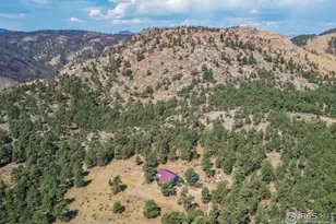 10297 Forest View Dr, Loveland, CO 80538 - Photo 46