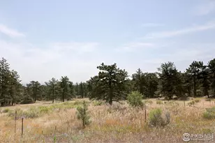 10297 Forest View Dr, Loveland, CO 80538 - Photo 18