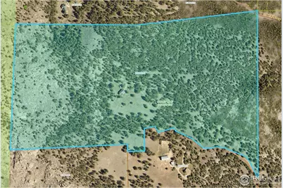 10297 Forest View Dr, Loveland, CO 80538 - Photo 4