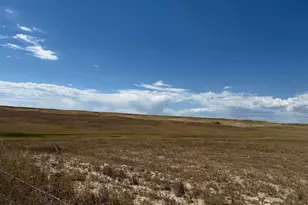 3 County Road 15, Carr, CO 80612 - Photo 1