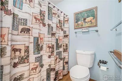 1250 S Saint Vrain Ave #11, Estes Park, CO 80517 - Photo 12