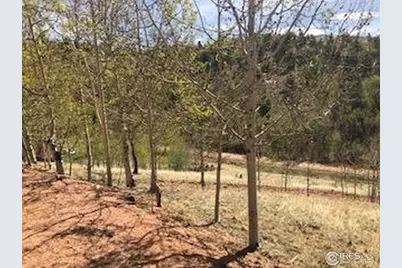 499 Granite Ln, Cripple Creek, CO 80813 - Photo 2