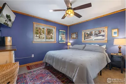 810 Larkspur Rd, Estes Park, CO 80517 - Photo 18