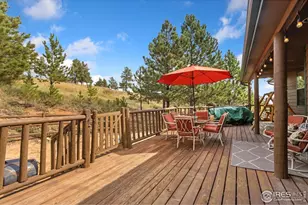 98 Deadhorse Mountain Ct, Livermore, CO 80536 - Photo 22