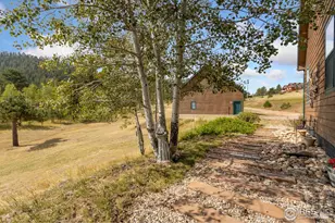 98 Deadhorse Mountain Ct, Livermore, CO 80536 - Photo 38