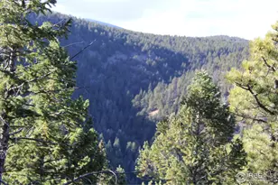 0 Pennsylvania Gulch Rd, Boulder, CO 80302 - Photo 4